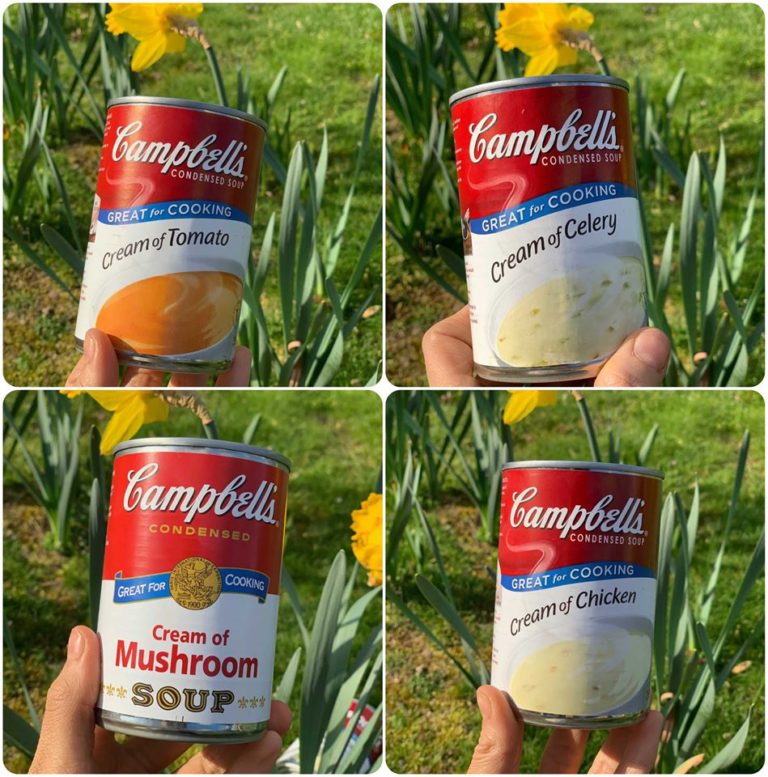 A Condensed History Of Soup Campbell's Soup