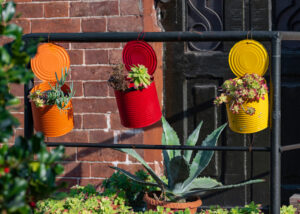 6 Ways to Reuse Your Soup Tin Cans