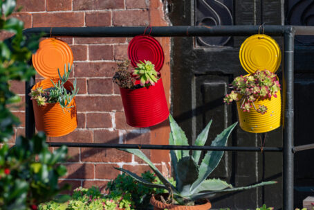 6 Ways to Reuse Your Soup Tin Cans